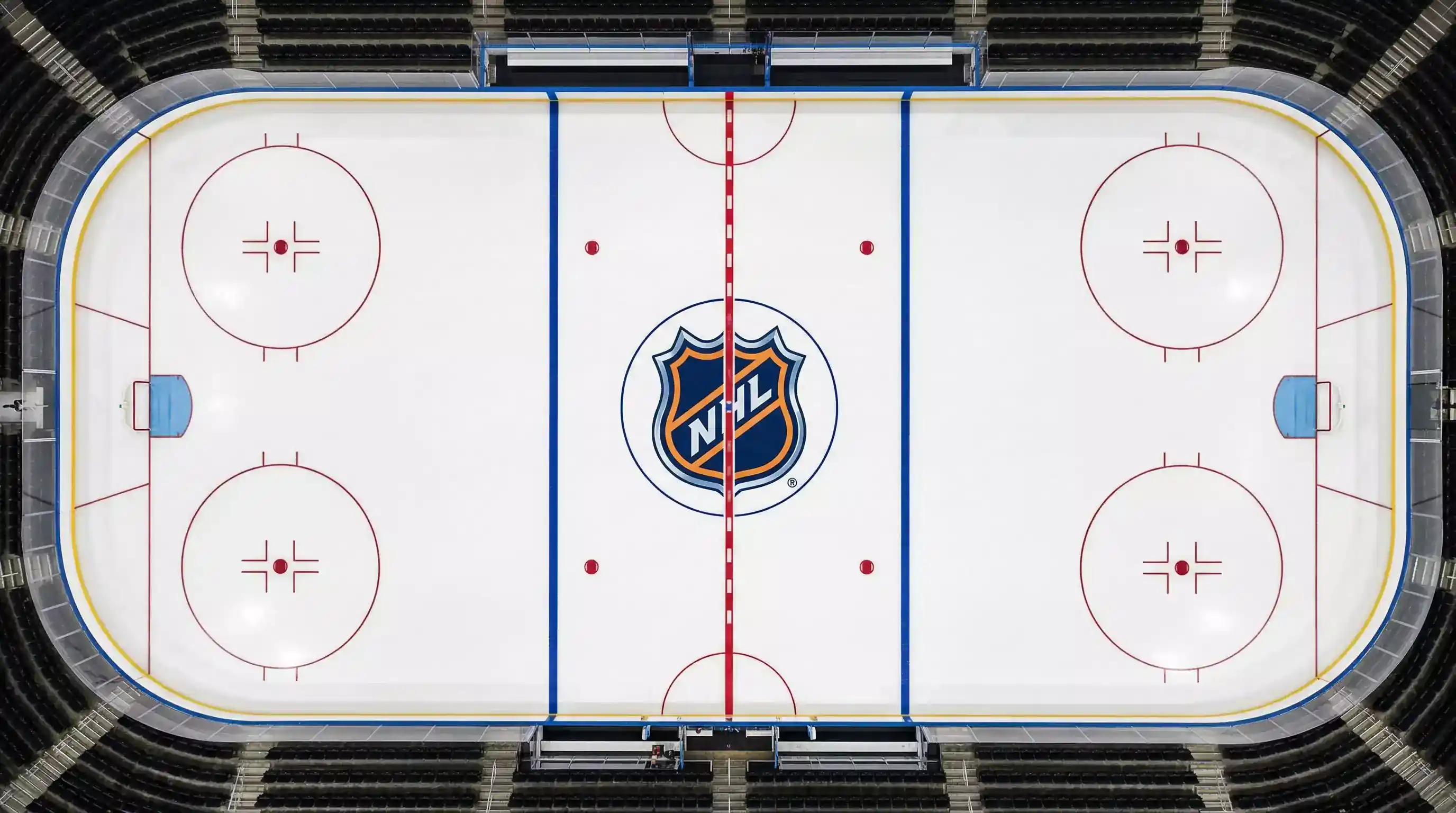 Conferencias y Divisiones NHL: Estructura para Apostadores
